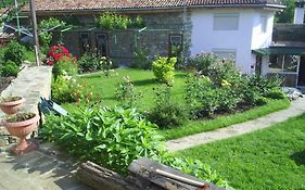 Vanda Guest House